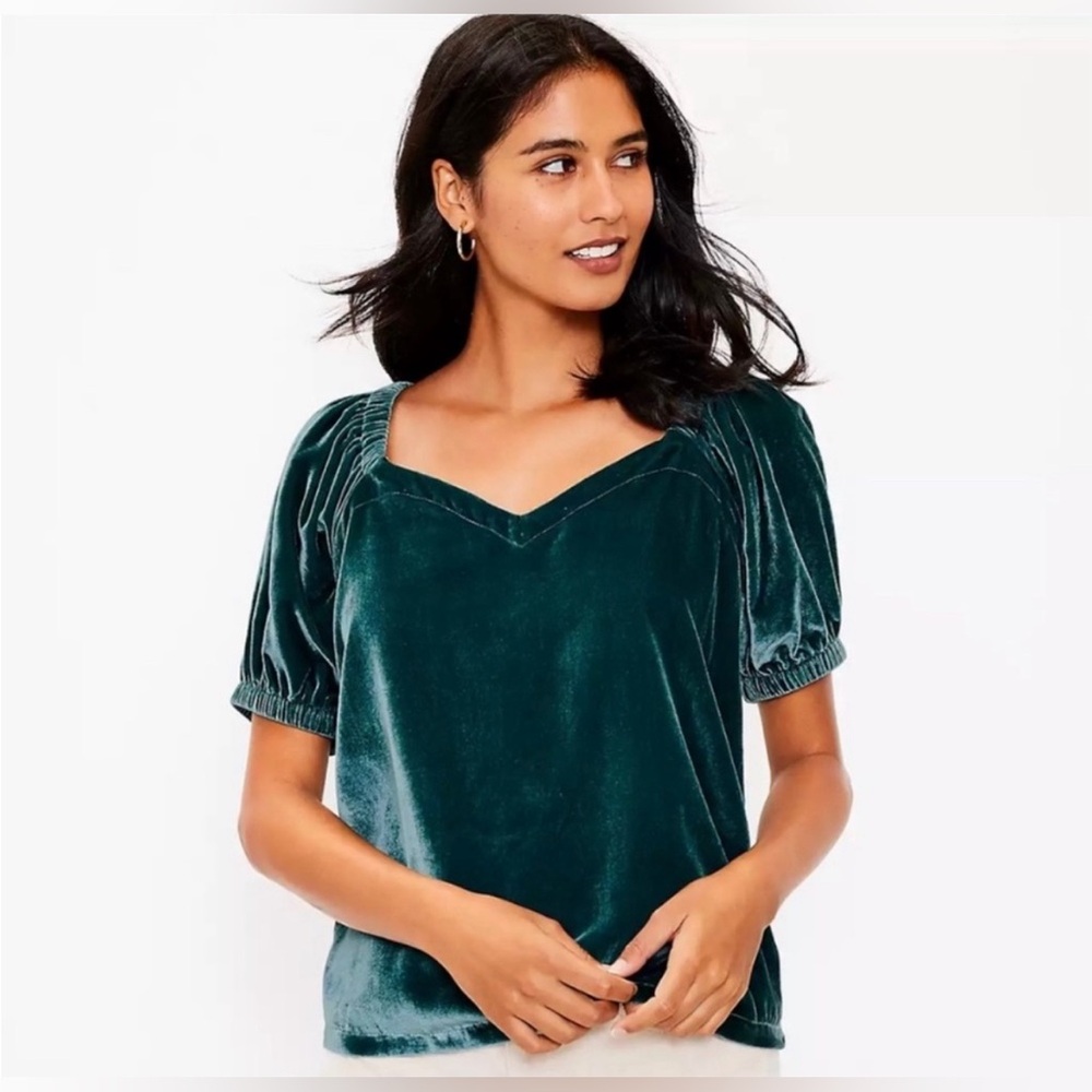 LOFT Velvet Puff Sleeve Top